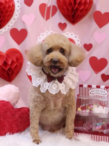 20240228ケンくん